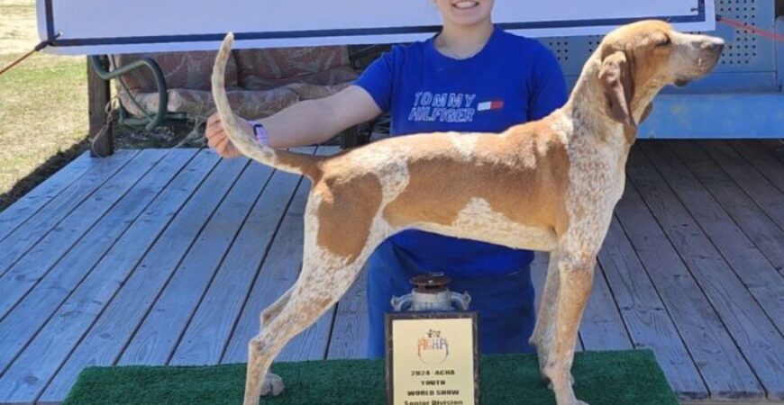 Beulaville teen named world champion at coonhound dog show