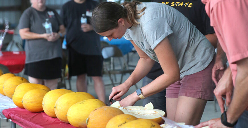 Area farmers participate in Watermelon Variety Trial Showcase