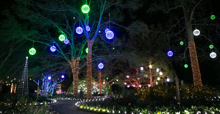 Annual Southern Lights kicks off the holiday season