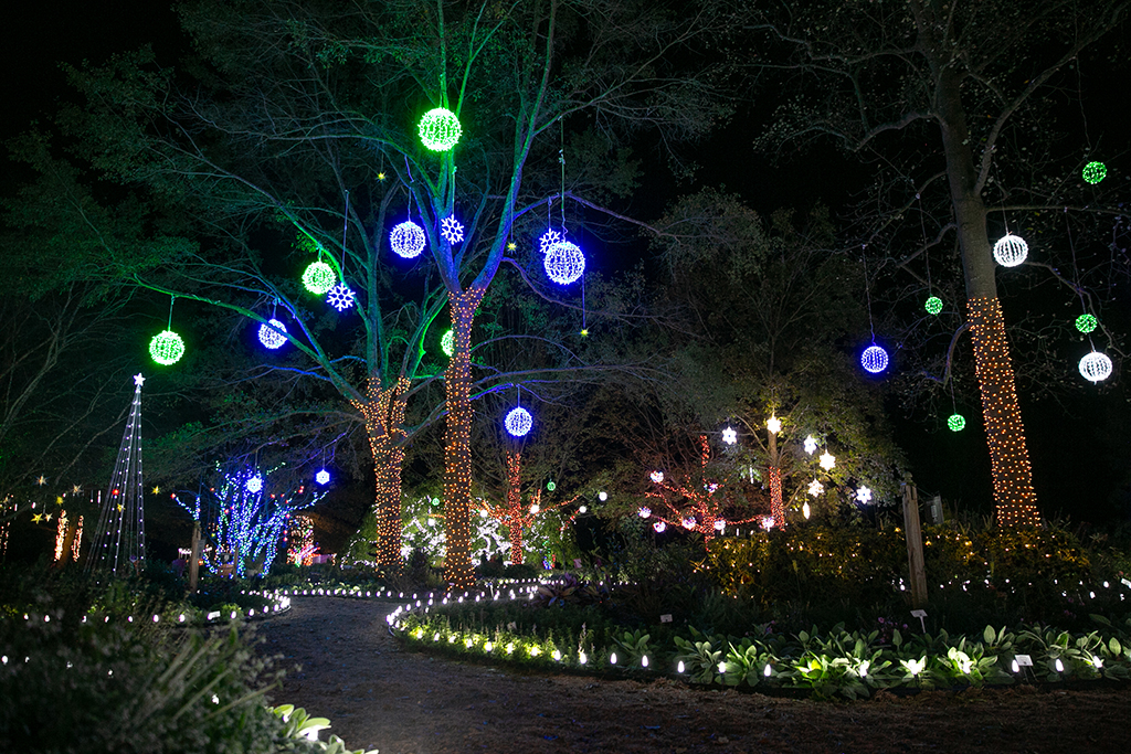 Annual Southern Lights kicks off the holiday season