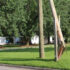 UtilityPoles-Pic1