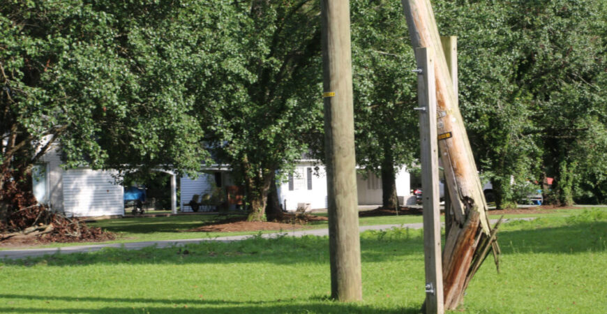 Trees on lines, damaged utility poles prompt public outcry