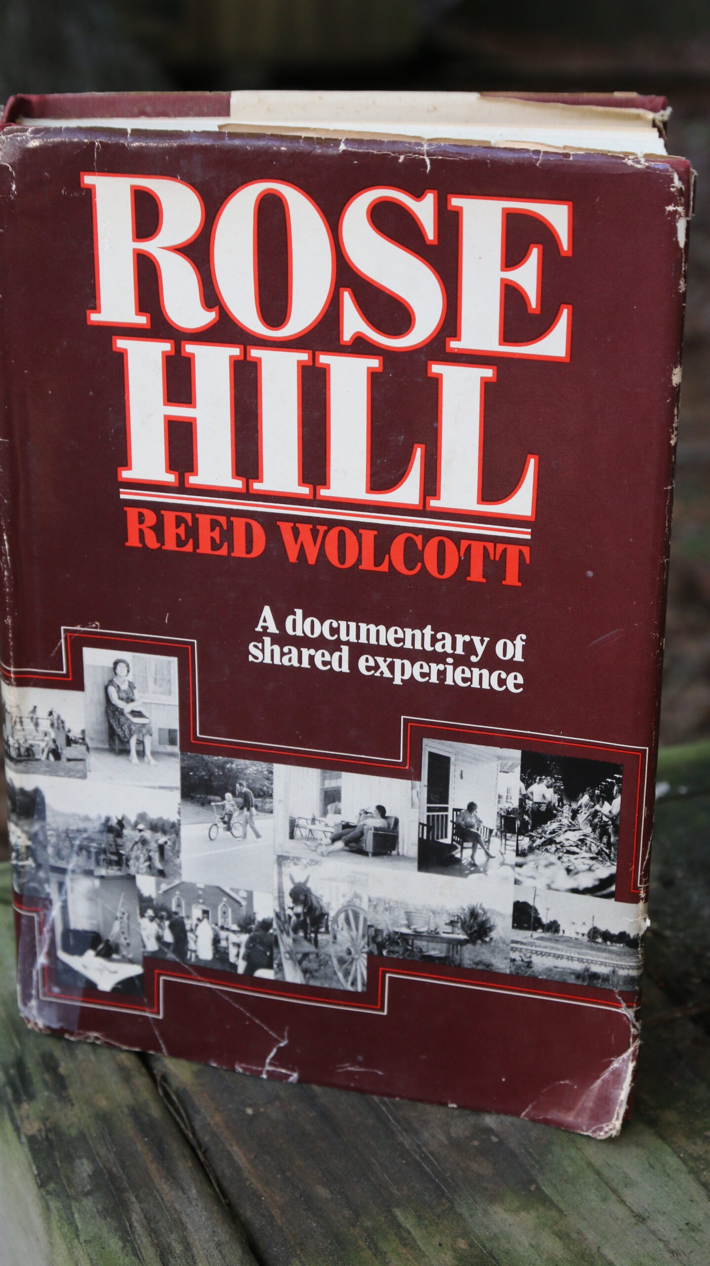 RoseHillBookPic