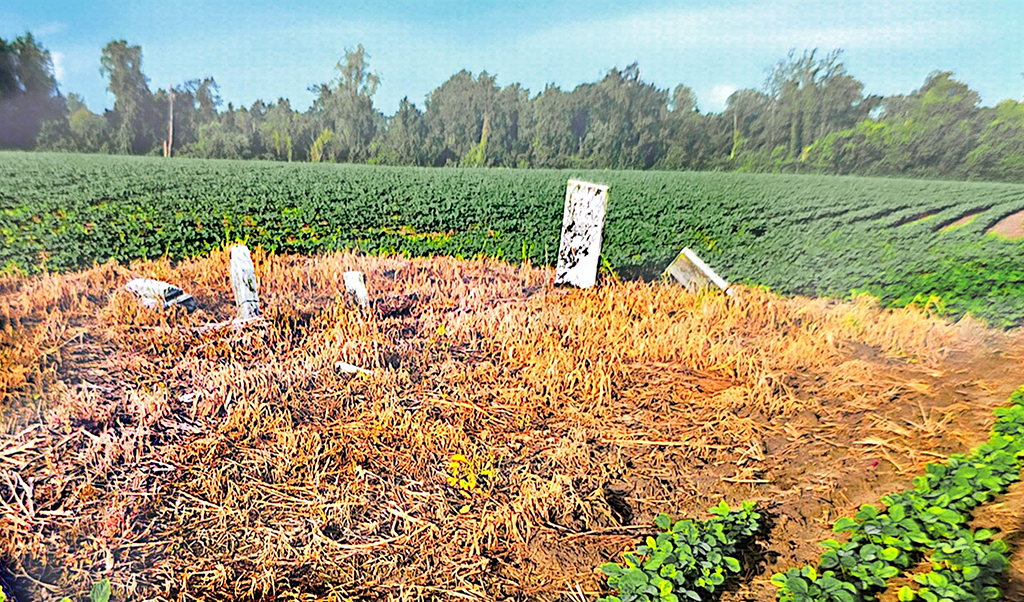 degraded_cemetery_image_from_Doug_Clark_1