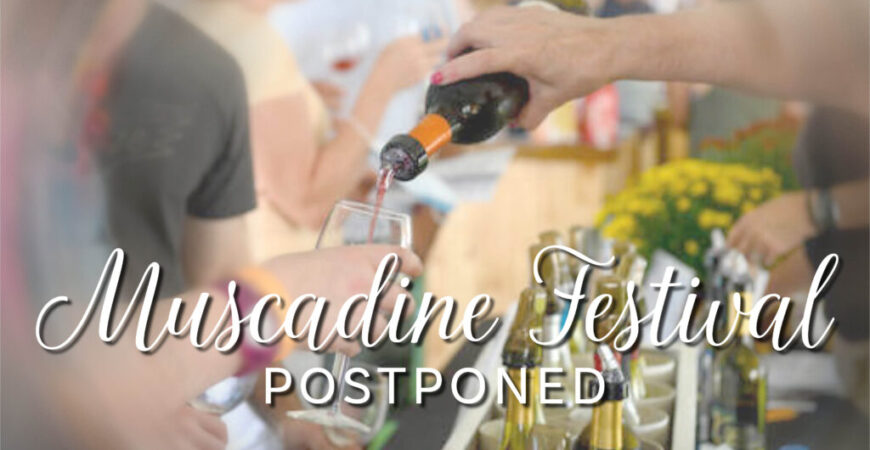 After 20-year run, Muscadine Festival hits pause
