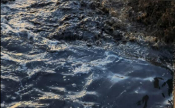 wastewater