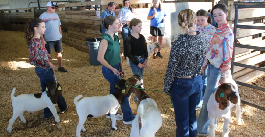 Farm Fest celebrates agriculture, youth, and community