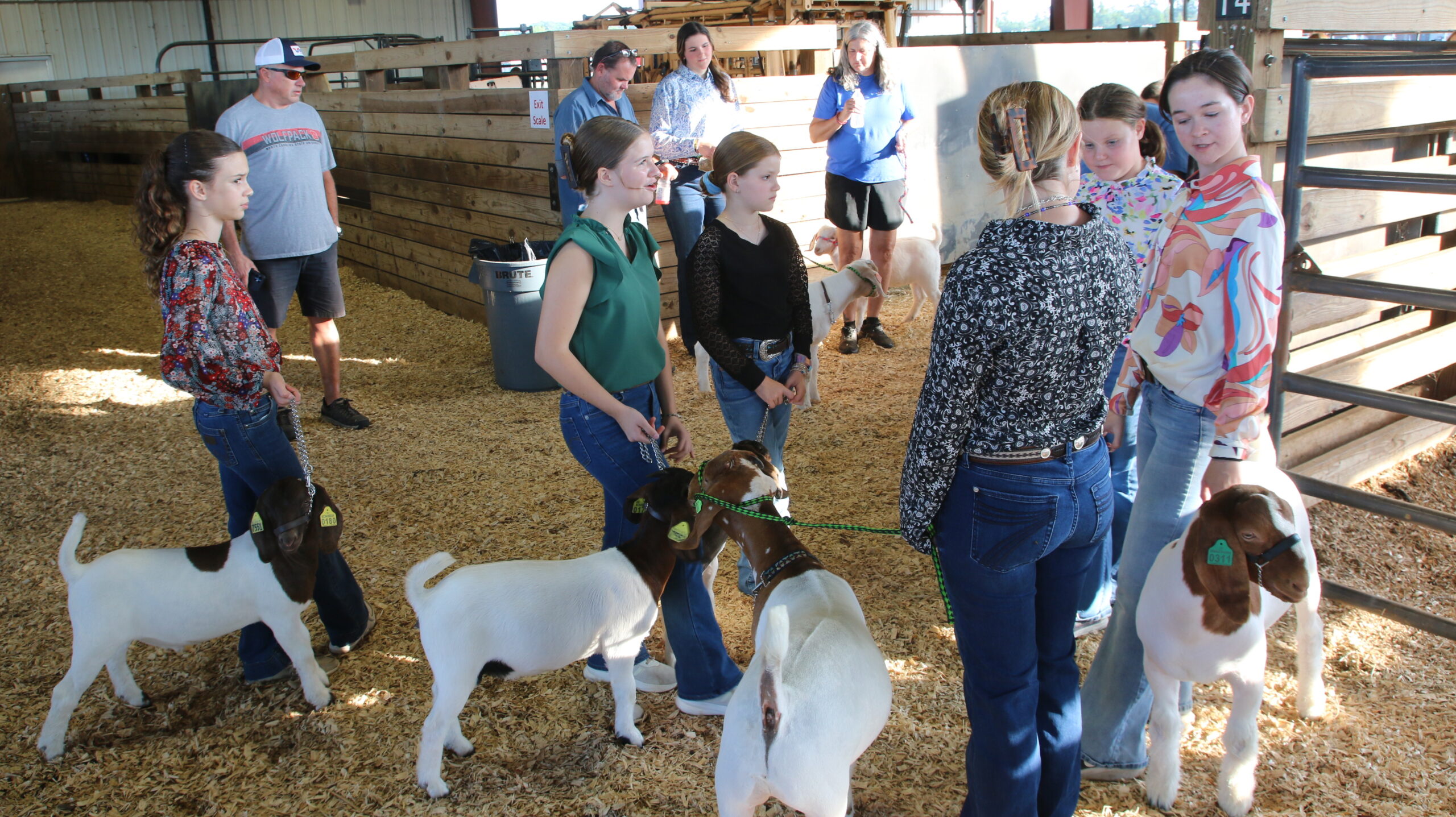 GoatShow-3