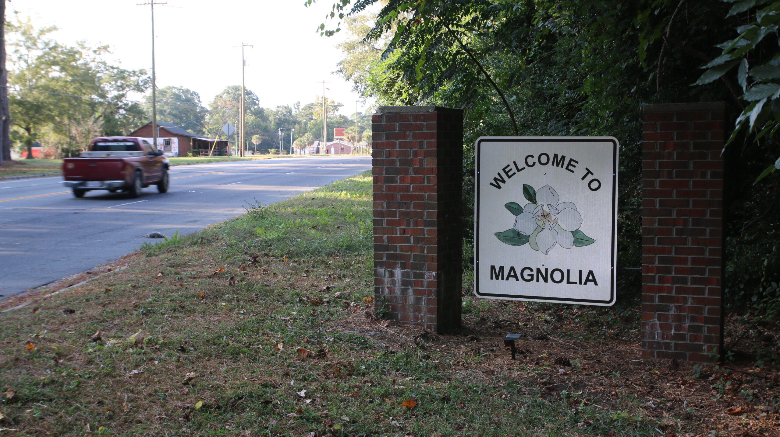 MagnoliaPic