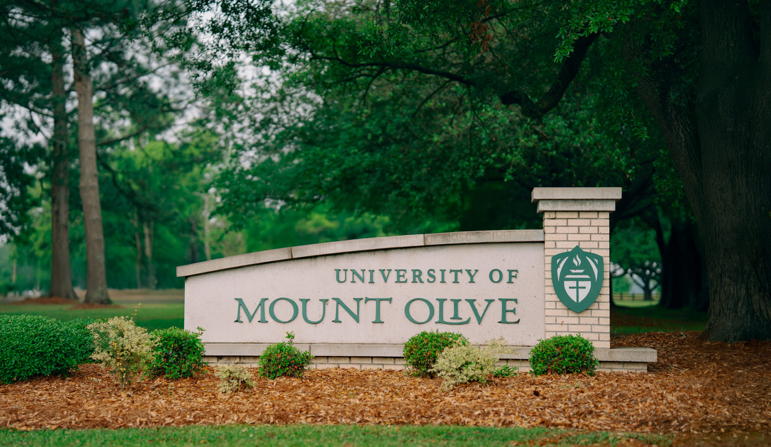 UMO launches new School of Education to address teacher shortage