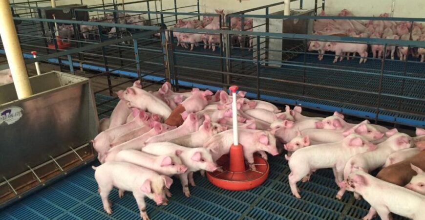 One family’s commitment to responsible farming