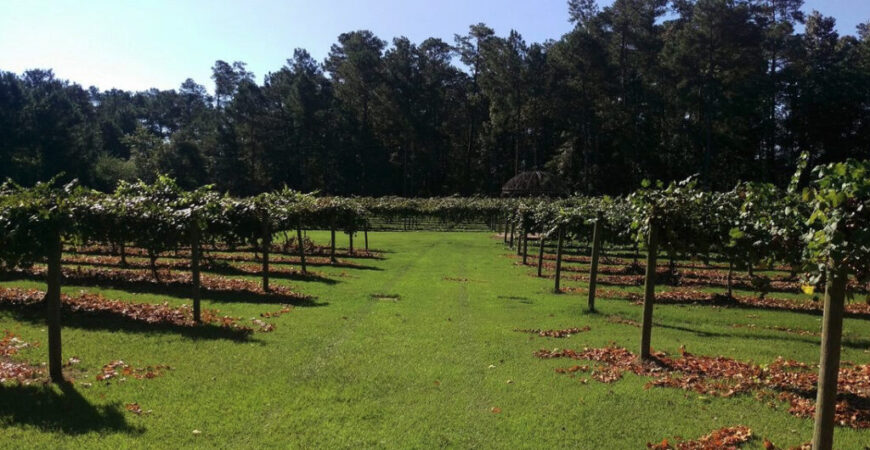 When traffic shifted, the Squire started pouring
